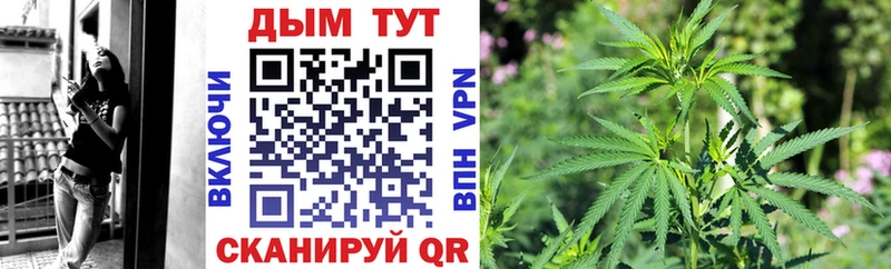 Хочу наркоту Камызяк MDMA  Мефедрон  Гашиш  Alpha-PVP  Канабис  COCAIN 