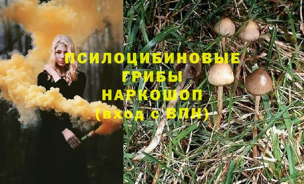 ALPHA-PVP Алексин
