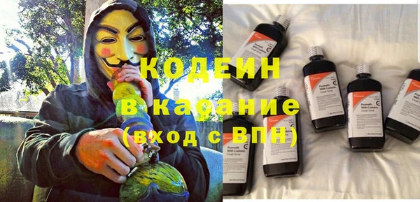 ГАЛЛЮЦИНОГЕННЫЕ ГРИБЫ Аркадак
